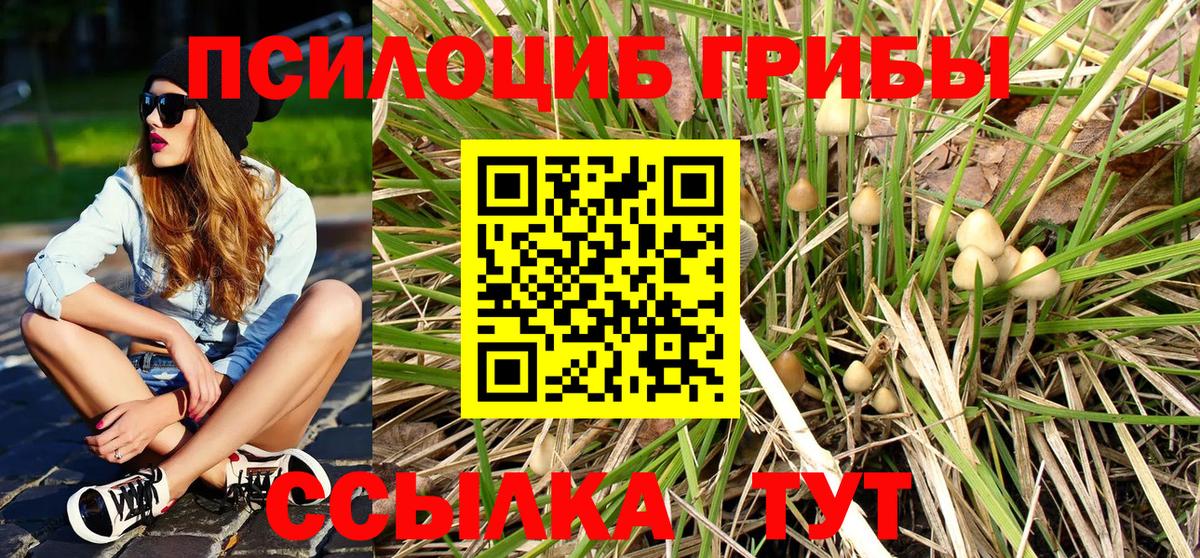 Меф МЯУ МЯУ  Бошки Шишки  А ПВП СОЛЬ   Дзержинский  COCAIN  ГАШ  Меф МЯУ МЯУ кристаллы  Вход с VPN  NBOMe 
