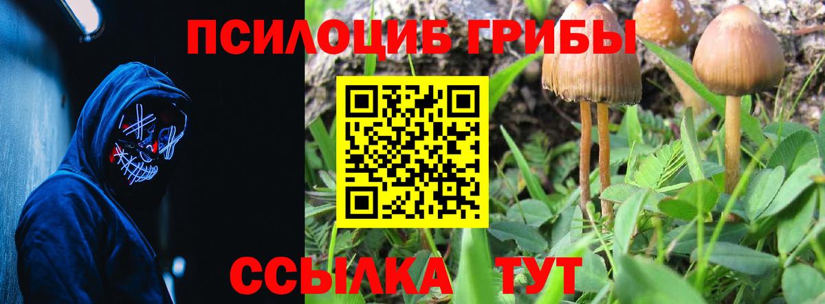 Дзержинский  Псилоцибиновые грибы мицелий  Вход с VPN 